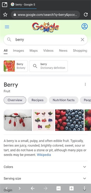 berry浏览器